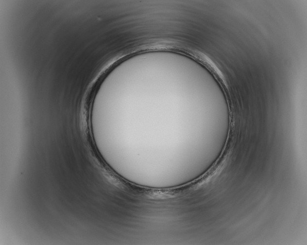 X0000111440835200907131019