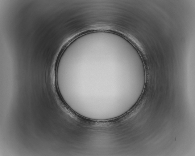 X0000111440840200907131019
