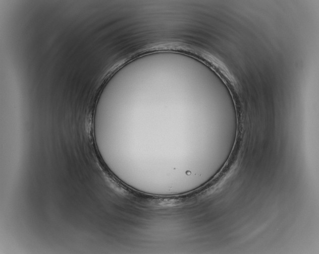 X0000111440841200907131019