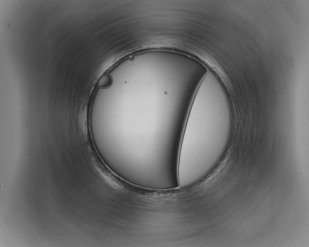 X0000111440842200907131019