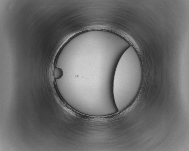 X0000111440844200907131019