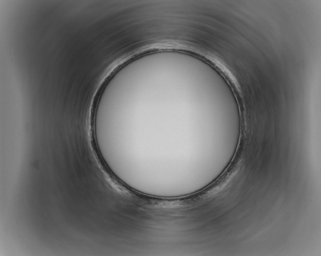 X0000111440845200907131019