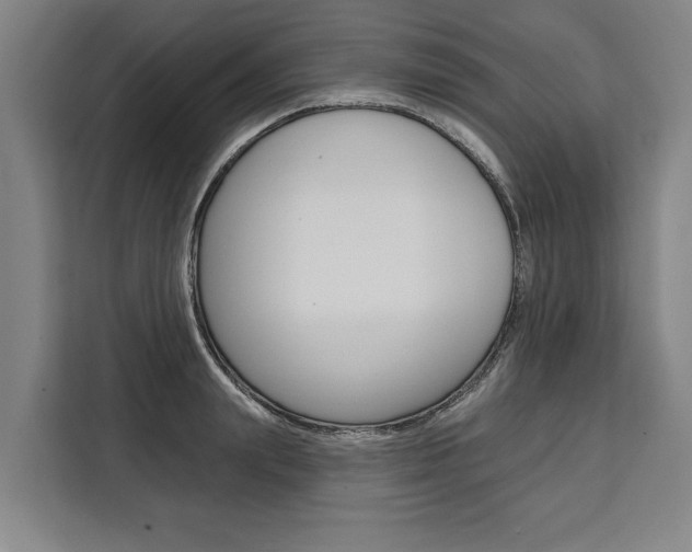 X0000111440847200907131019