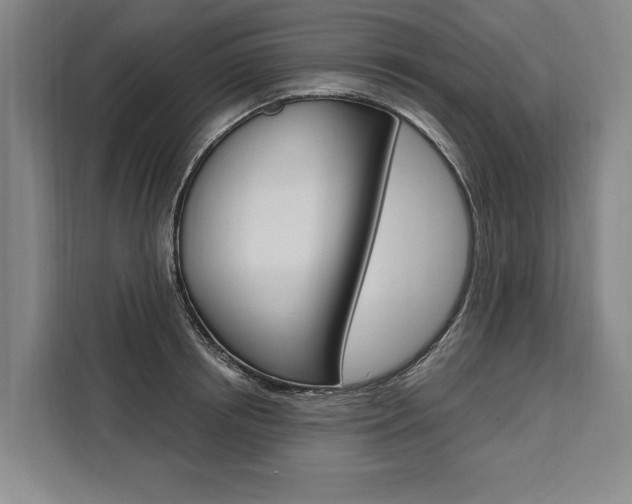 X0000111440850200907131019
