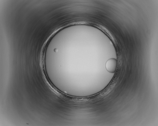 X0000111440851200907131019