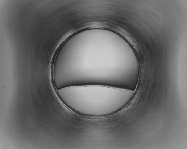 X0000111440853200907131019