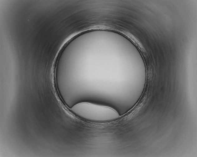 X0000111440854200907131019