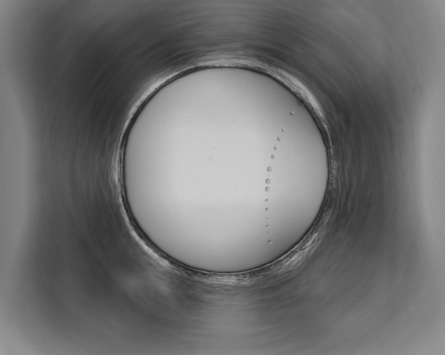 X0000111440855200907131019