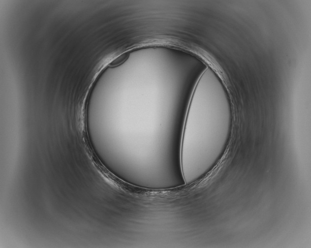 X0000111440858200907131019