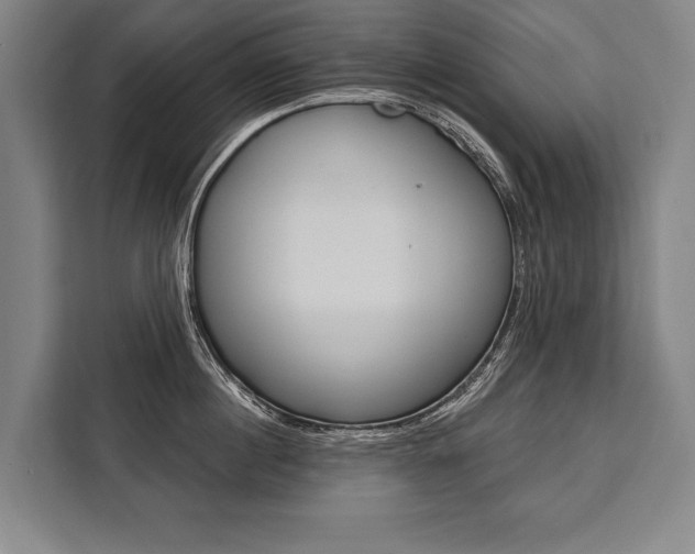 X0000111440860200907131019