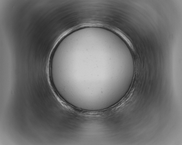 X0000111440861200907131019