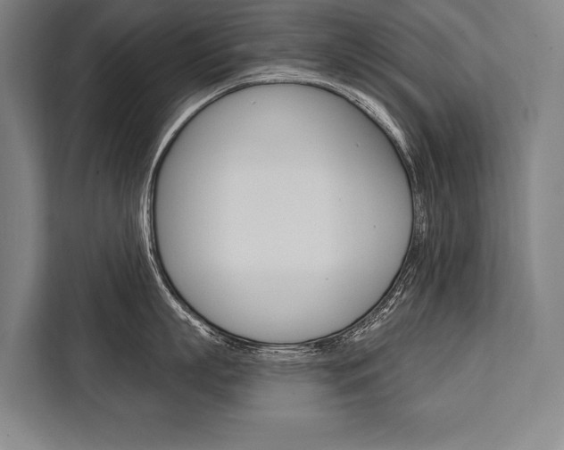 X0000111440863200907131019
