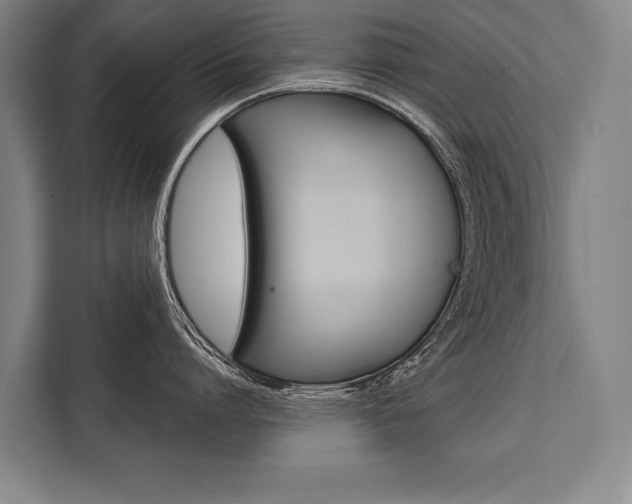 X0000111440864200907131019