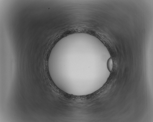 X0000111440865200907131019
