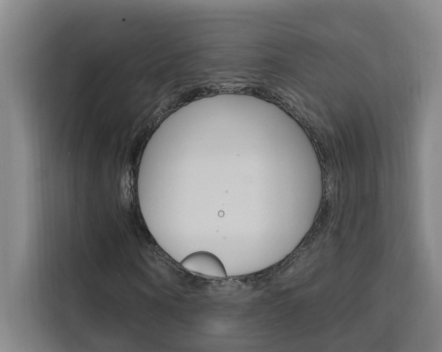 X0000111440866200907131019