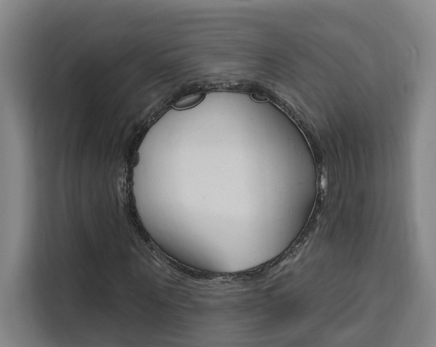 X0000111440867200907131019