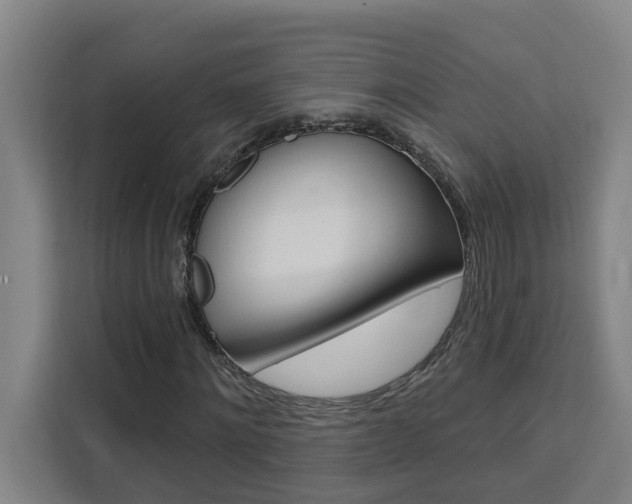 X0000111440868200907131019