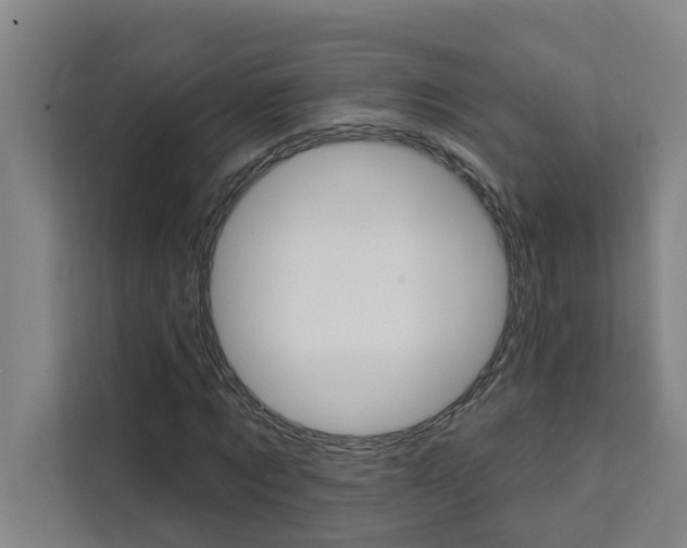X0000111440869200907131019