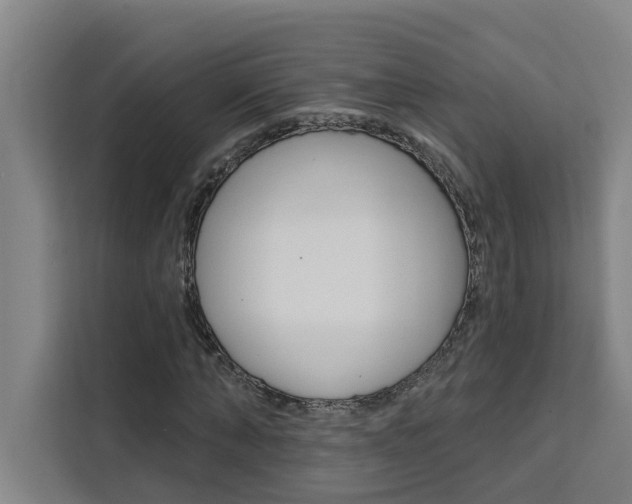 X0000111440870200907131019