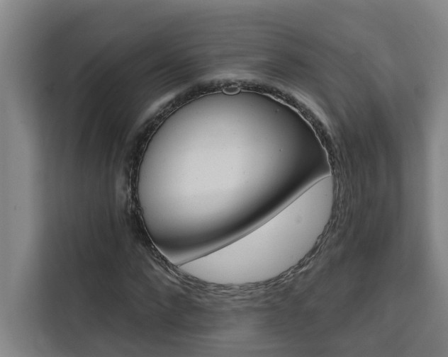 X0000111440872200907131019
