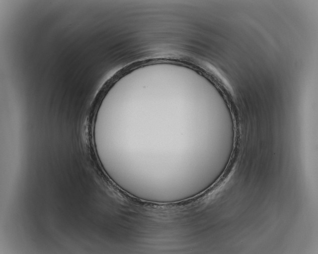 X0000111440875200907131019