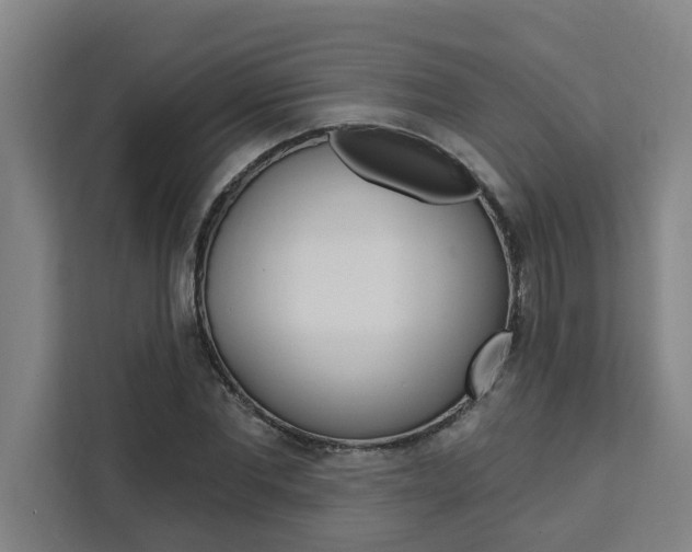 X0000111440877200907131019