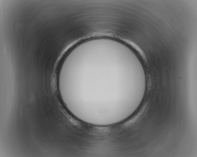 X0000111440878200907131019