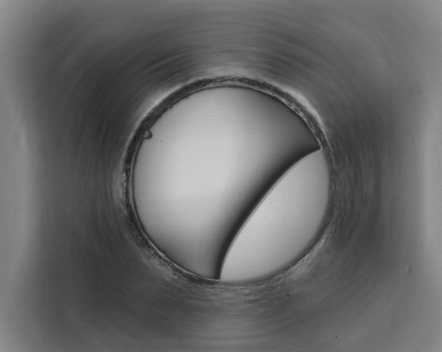 X0000111440879200907131018