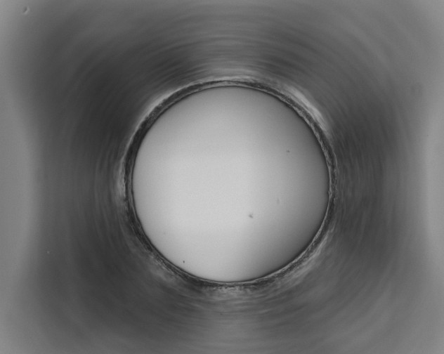 X0000111440883200907131018