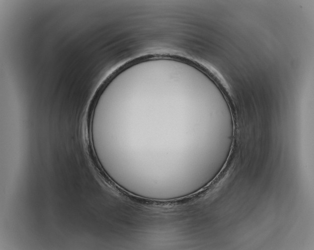 X0000111440887200907131018