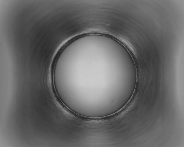 X0000111440888200907131018