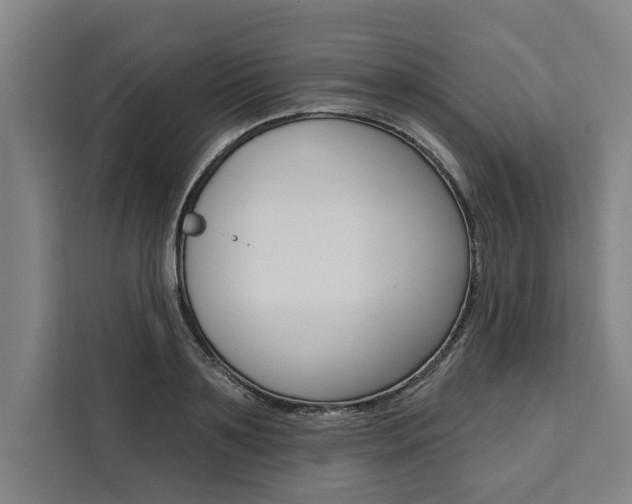 X0000111440891200907131018