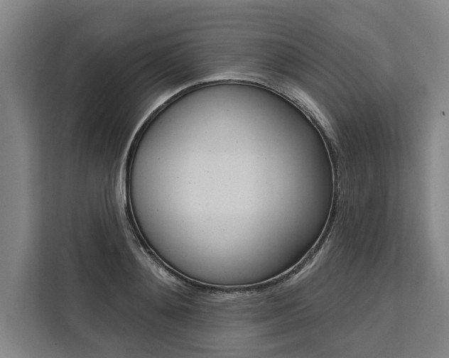 X0000111440892200907131018