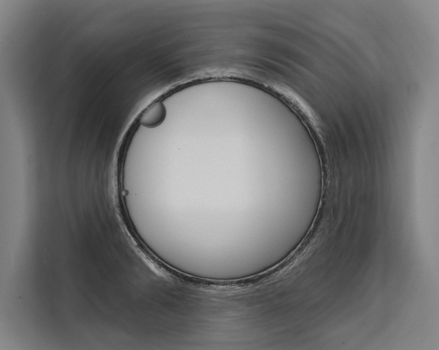 X0000111440894200907131018
