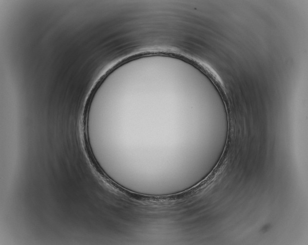 X0000111440895200907131018