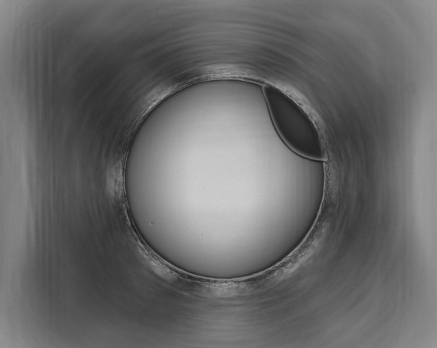 X0000111440897200907131018