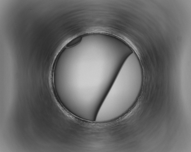 X0000111440901200907131018