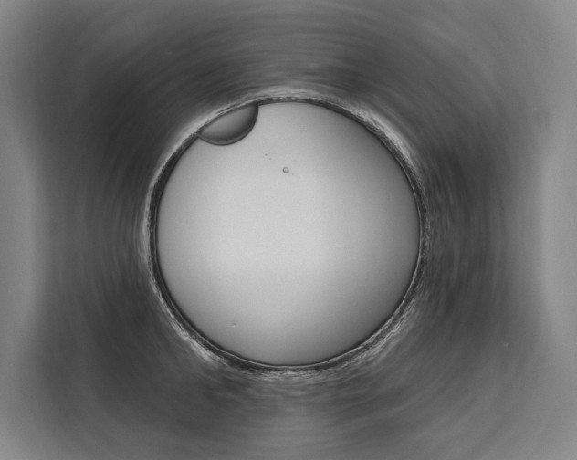 X0000111440902200907131018