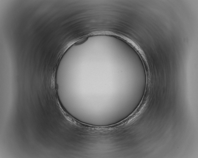X0000111440905200907131018