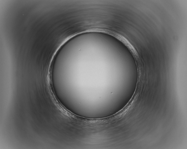 X0000111440908200907131018