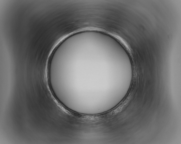 X0000111440910200907131018