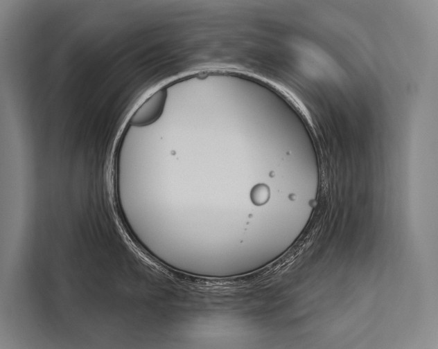 X0000111440911200907131018