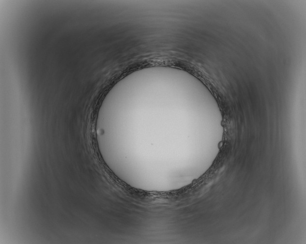 X0000111440913200907131017
