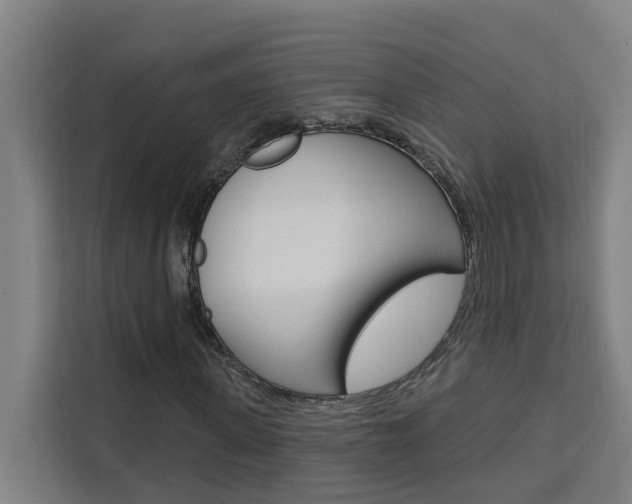 X0000111440915200907131017