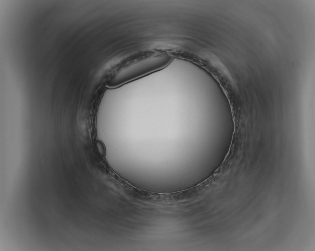X0000111440920200907131018