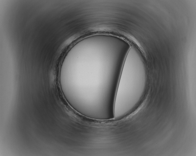 X0000111440922200907131018