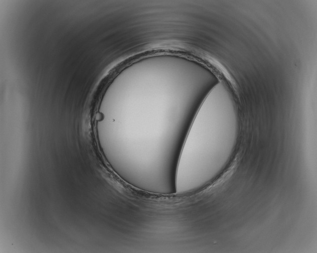 X0000111440923200907131018