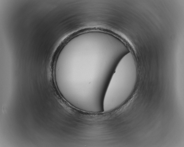 X0000111440927200907131018