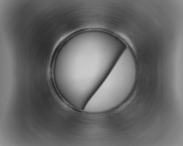 X0000111440928200907131018