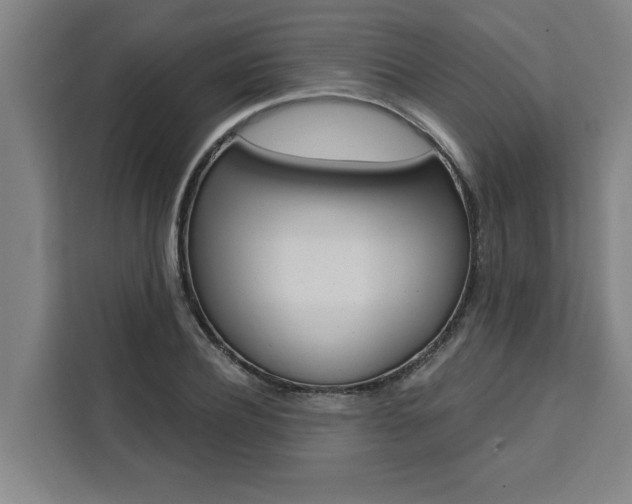 X0000111440932200907131018